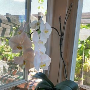 Meet your Posher, Michaela